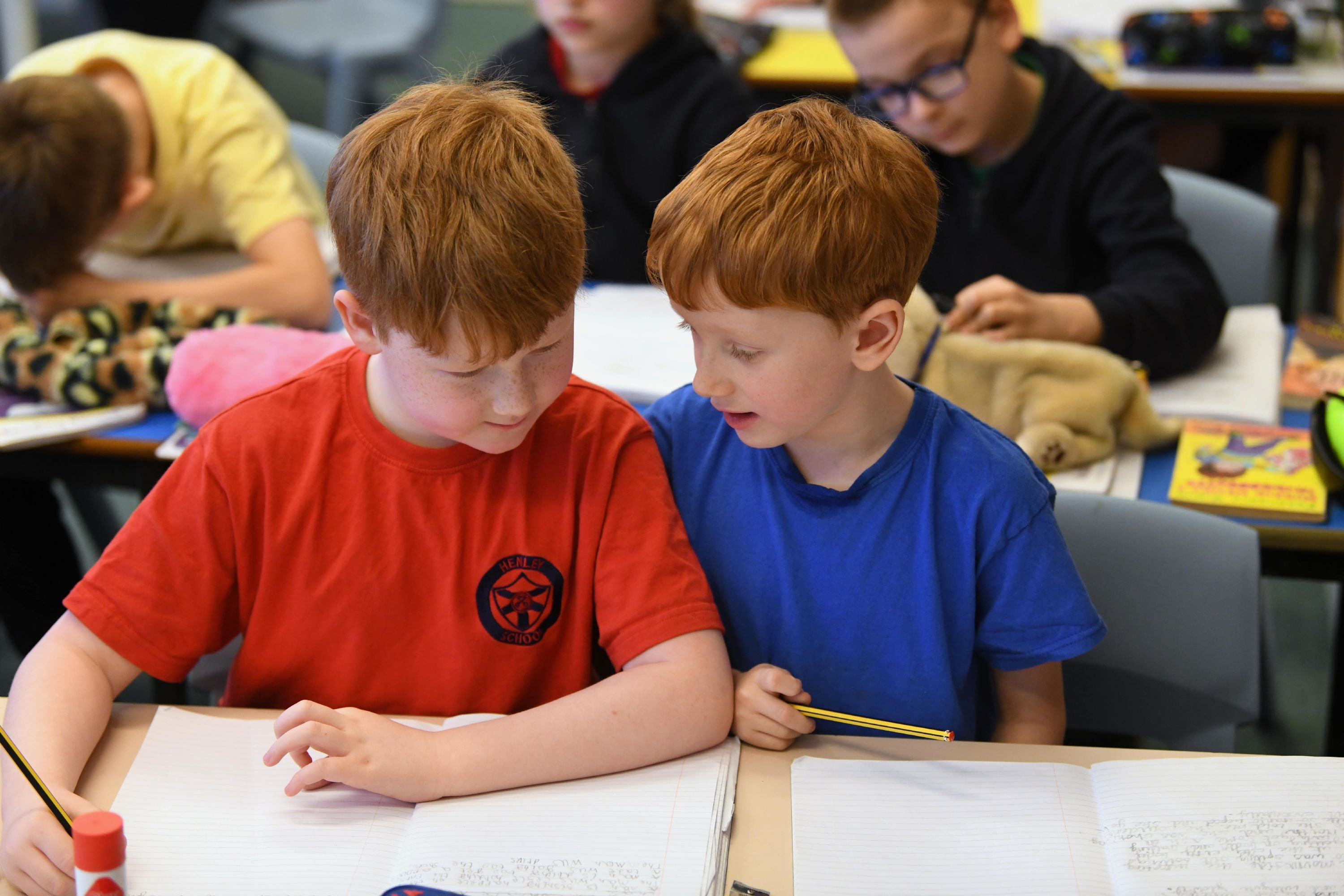 Henley Primary School Images047-min.JPG